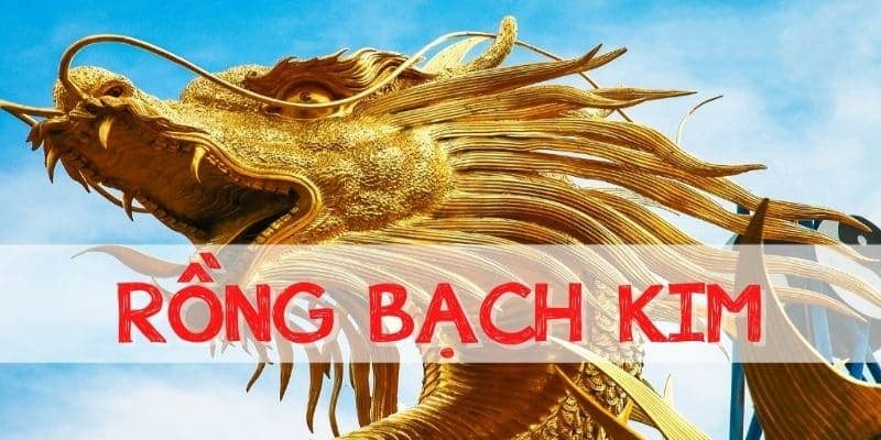 Rồng bạch kim là một nền tảng soi cầu được rất nhiều hội viên yêu thích 